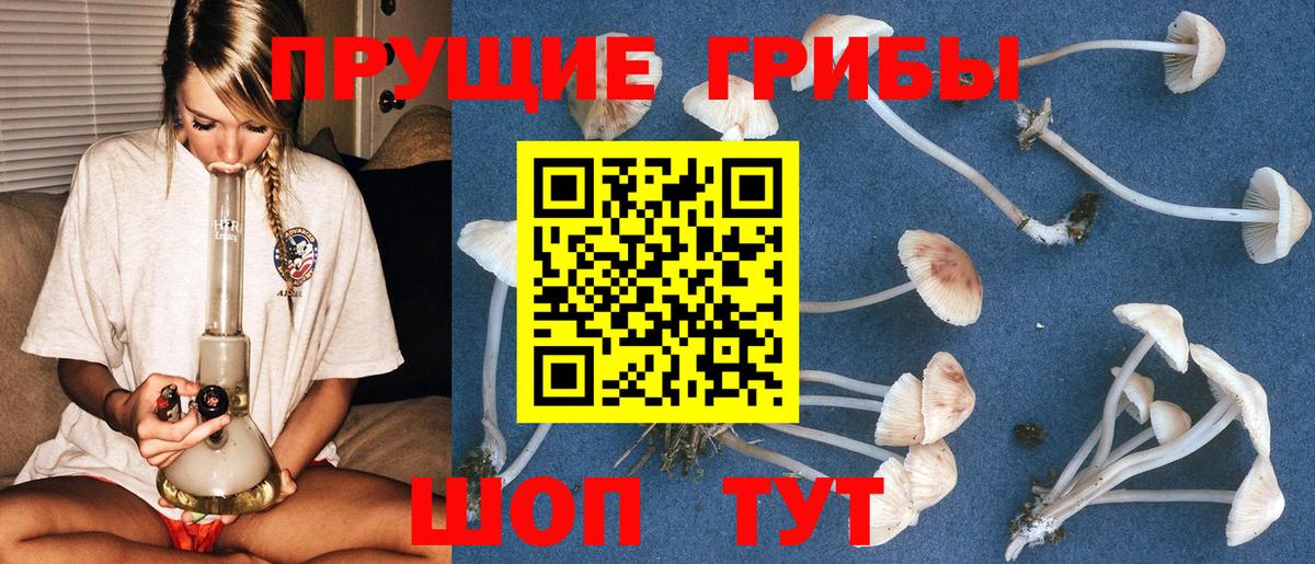 Галлюциногенные грибы MAGIC MUSHROOMS Богородск