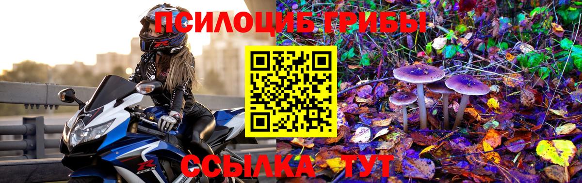 Богородск  Галлюциногенные грибы Psilocybe  Вход с VPN  Галлюциногенные грибы прущие грибы 